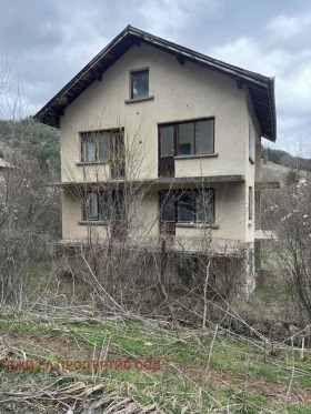 Продажба на имоти в с. Ябланица, област София - изображение 1 