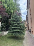 Продава 2-СТАЕН, гр. София, м-т Гърдова глава, снимка 12