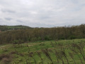 Продава ЗЕМЕДЕЛСКА ЗЕМЯ, с. Солник, област Варна, снимка 5