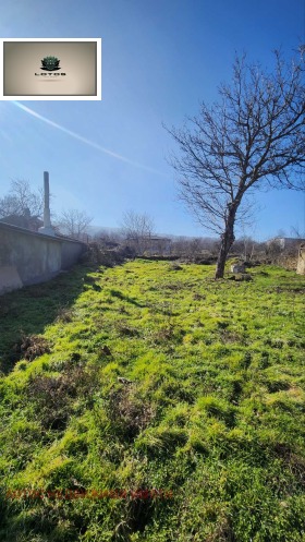 ����� ������� ������,��. ��������, ������ ������ �������>