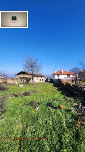 ����� ������� ������,��. ��������, ������ ������ �������