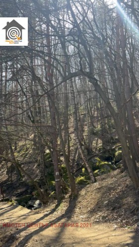 ������� ������ | Imot.bg � ����� ������ 6