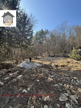 ����� ������� ������,���� �����, ����������