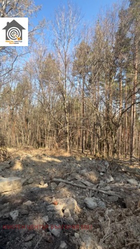 ������� ������ | Imot.bg � ����� ������ 5