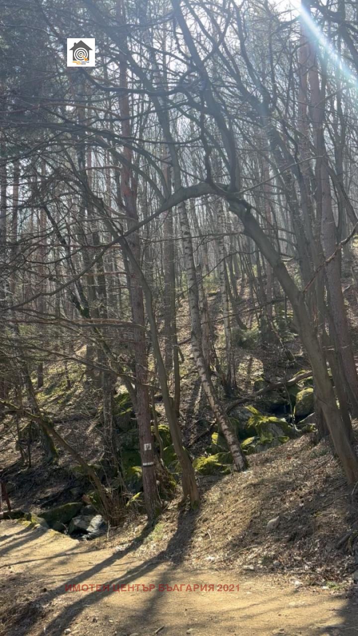 Продава ПАРЦЕЛ, гр. София, Драгалевци, снимка 6 - Парцели - 53910650