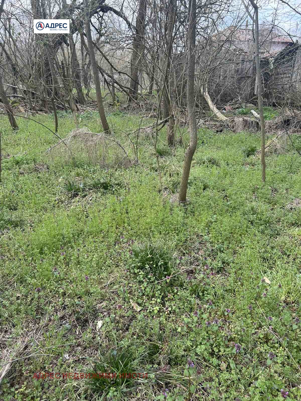 Продава ПАРЦЕЛ, с. Къпиново, област Велико Търново, снимка 2 - Парцели - 55034880