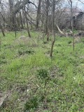 Продава  Парцел област Велико Търново , с. Къпиново , 1164 кв.м | 19305182 - изображение [2]