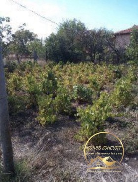 ������� ���� | Imot.bg � ����� ������ 11