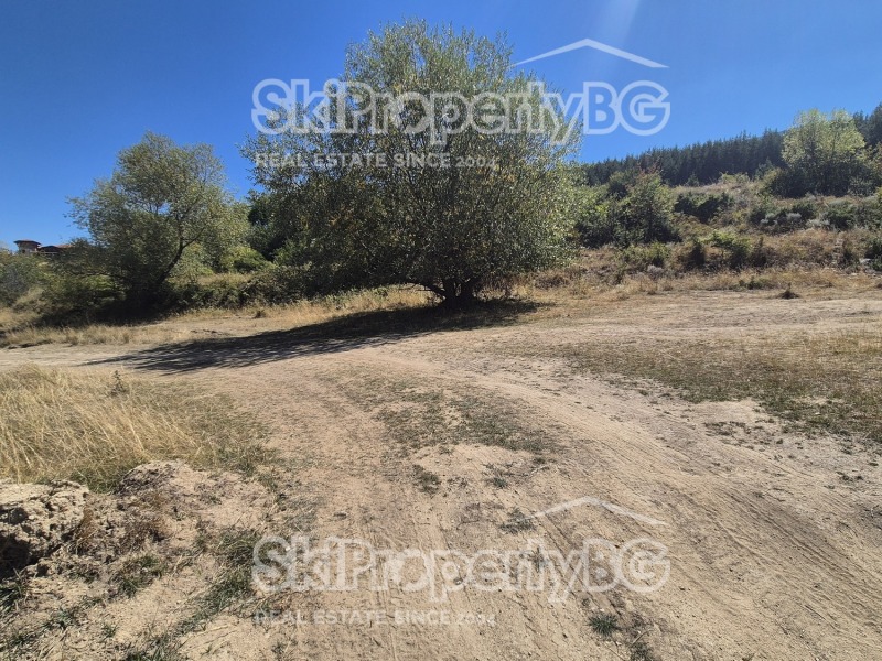 Satılık  Komplo bölge Blagoevgrad , Bansko , 1083 metrekare | 90051975 - görüntü [5]