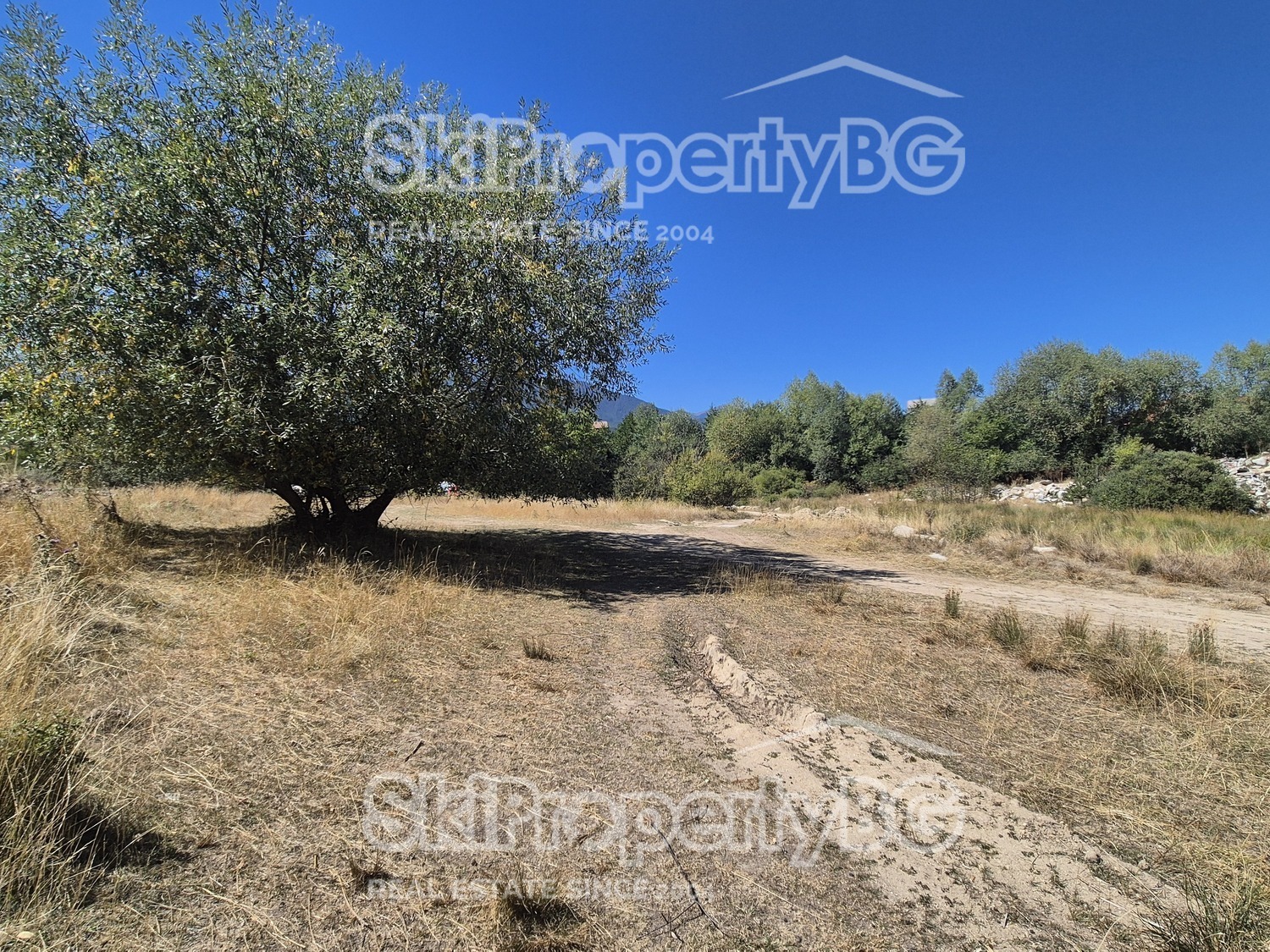 Продава ПАРЦЕЛ, гр. Банско, област Благоевград, снимка 2 - Парцели - 51928399