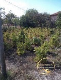 Продава КЪЩА, с. Голямо Асеново, област Хасково, снимка 11