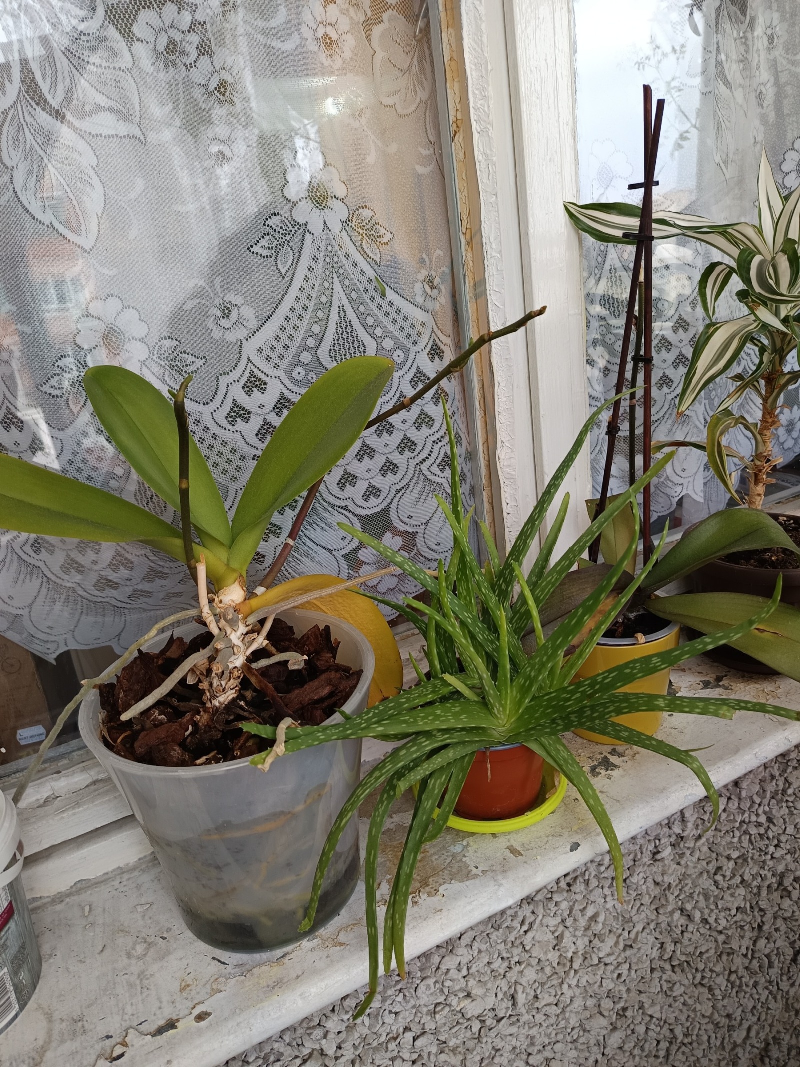 ������� 1-����� | Imot.bg � ����������� 7