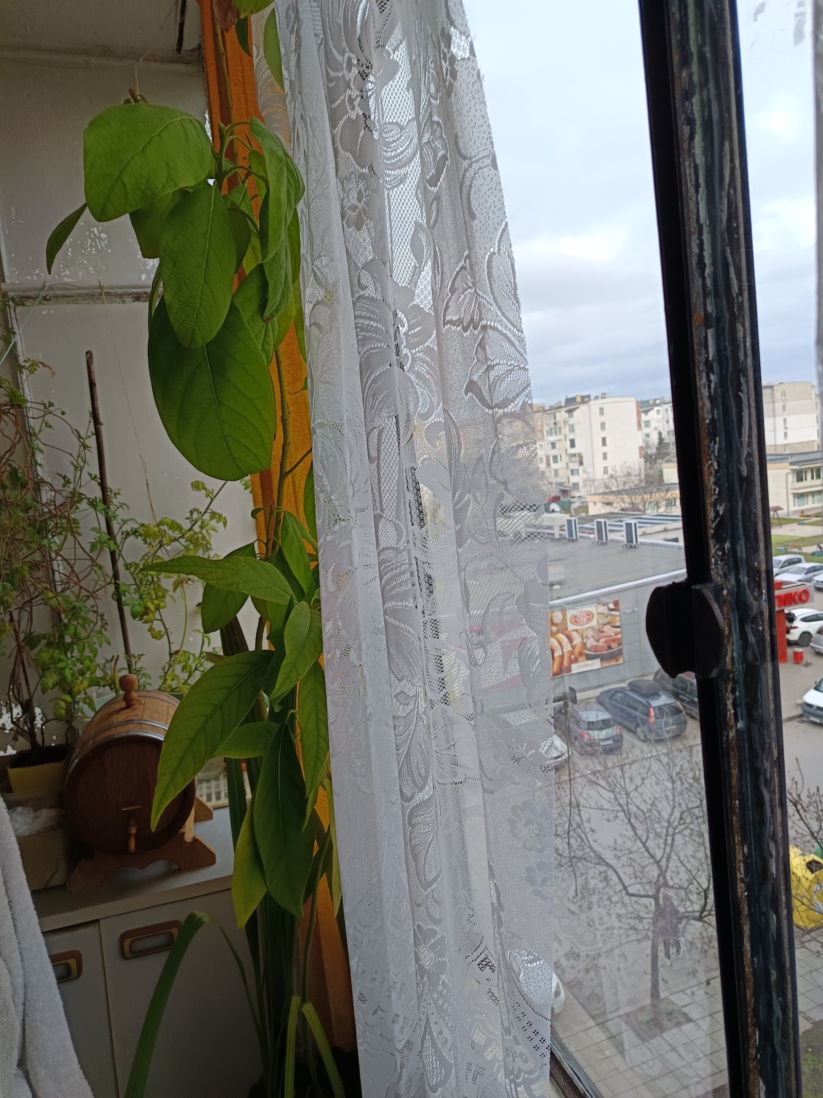 ������� 1-����� | Imot.bg � ����������� 6