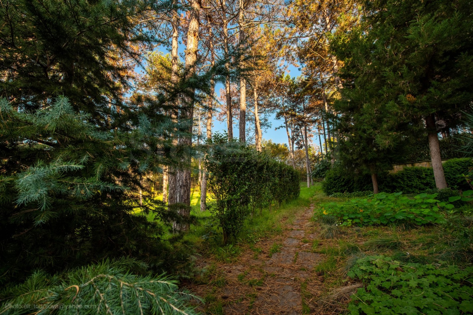 ������� 3-����� | Imot.bg � ����������� 10