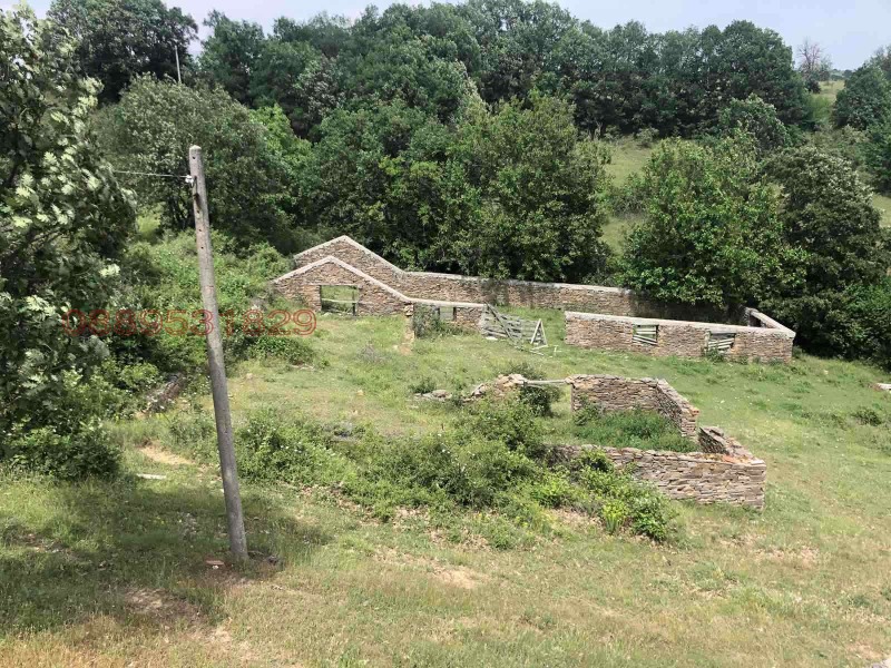 Продава ЗЕМЕДЕЛСКА ЗЕМЯ, гр. Крумовград, област Кърджали, снимка 2 - Земеделска земя - 52878601