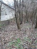 Продава ПАРЦЕЛ, област Пловдив, с. Брестовица • 38800 € • 53166255 — Holmes.bg