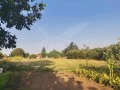 Продава  Парцел област Пловдив , с. Татарево , 1500 кв.м | 99025568