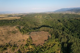 Οικόπεδο Κλησυρα, Σοφηια 1