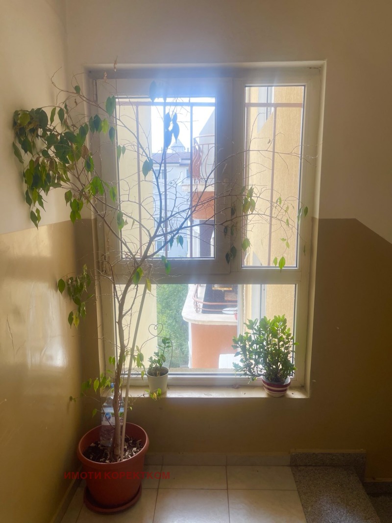 Продается  1 спальня София , Банишора , 70 кв.м | 28457569 - изображение [14]