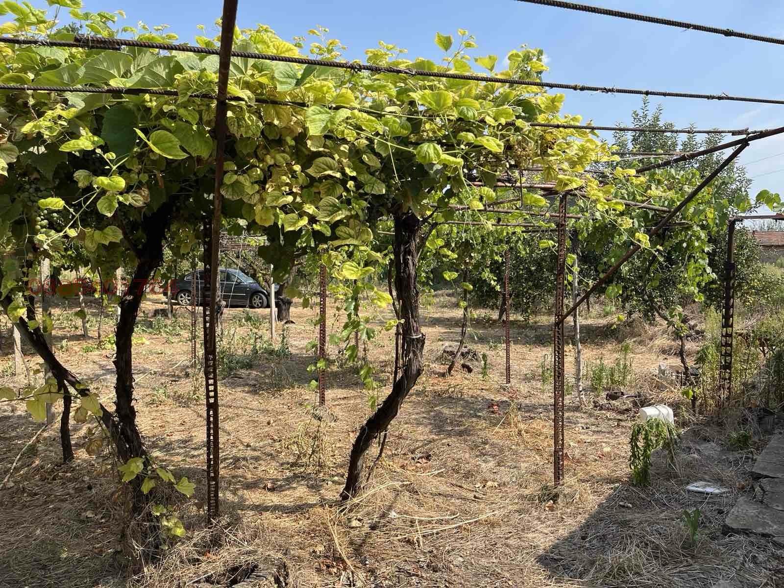 Продава КЪЩА, с. Староселци, област Плевен, снимка 5 - Къщи - 55729727