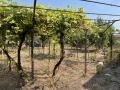 Продава КЪЩА, с. Староселци, област Плевен, снимка 5
