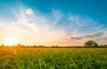 Продава ЗЕМЕДЕЛСКА ЗЕМЯ, гр. Бяла, област Варна, снимка 2