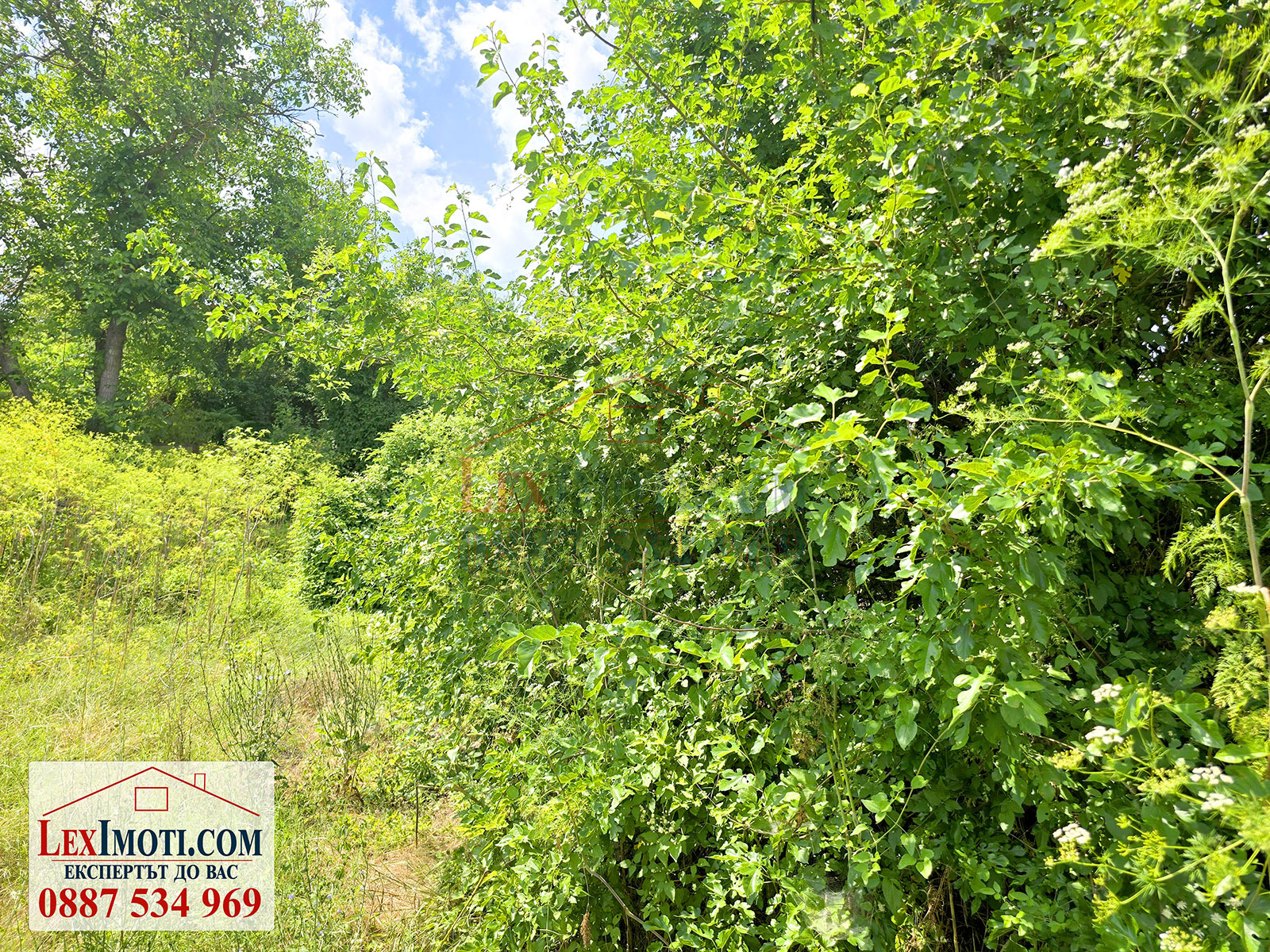 Продава ПАРЦЕЛ | Imot.bg — изображение 2