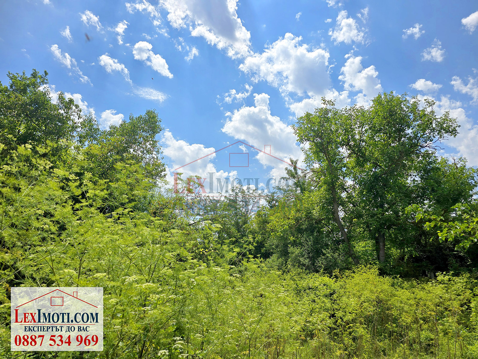 Продава ПАРЦЕЛ | Imot.bg — изображение 5