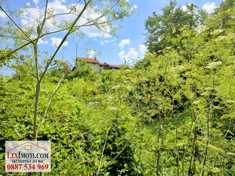 For Sale  Plot region Ruse , Bozhichen , 936 sq.m | 56804674 - image [4]