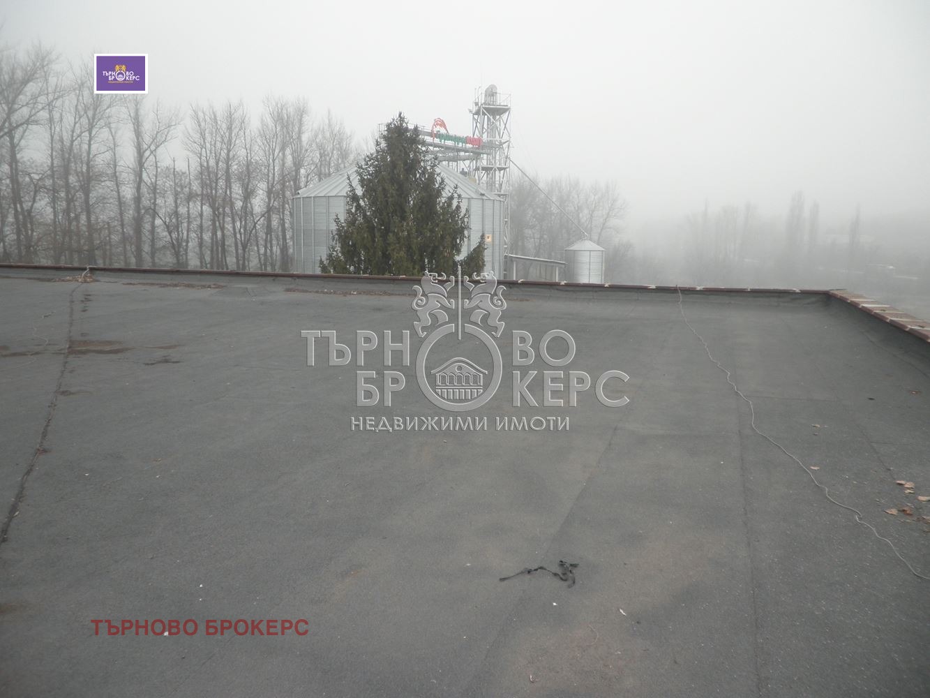 Продава ПРОМ. ПОМЕЩЕНИЕ, гр. Павликени, област Велико Търново, снимка 5 - Производствени сгради - 35810628