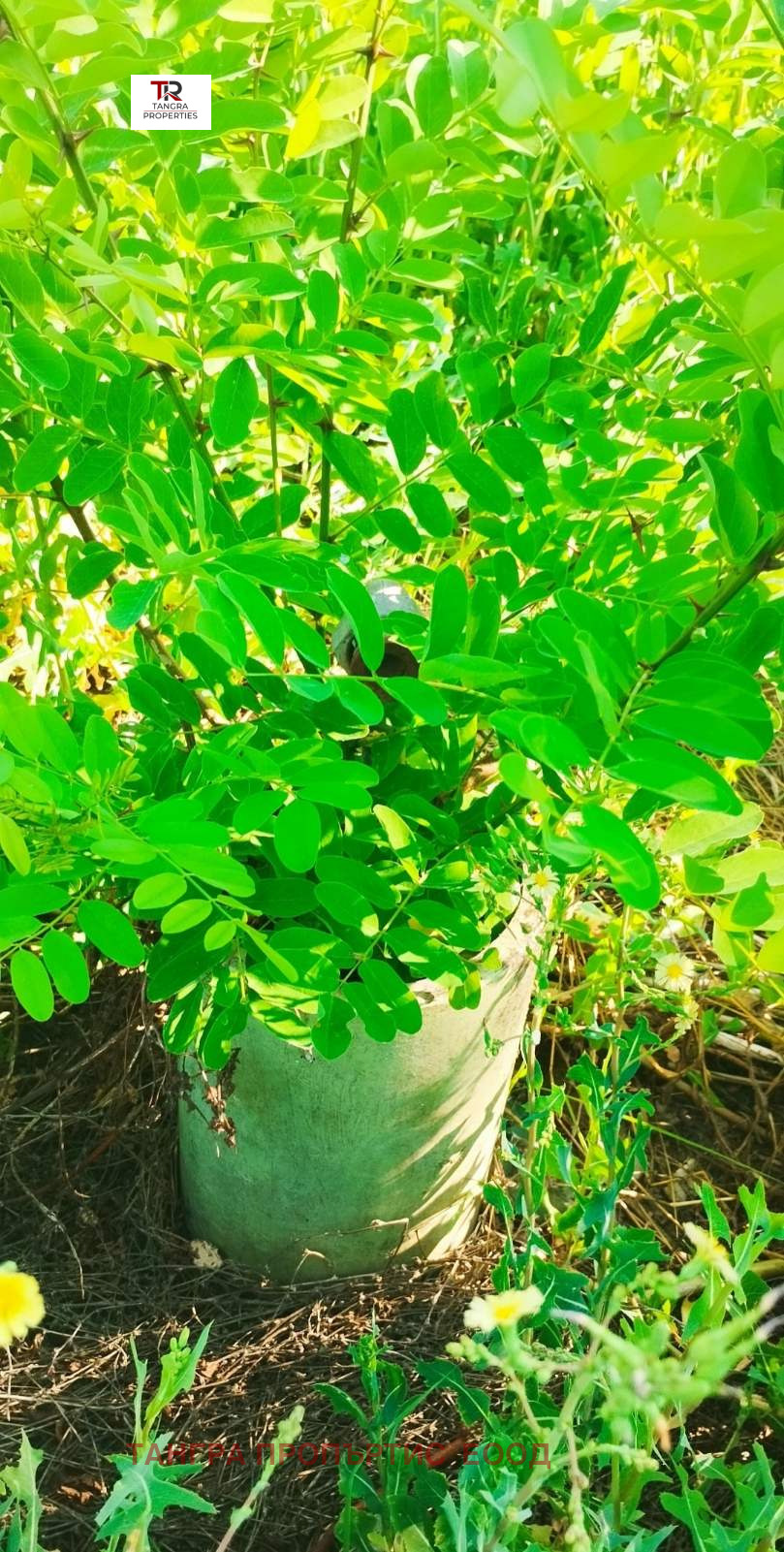 Продава КЪЩА | Imot.bg — изображение 1