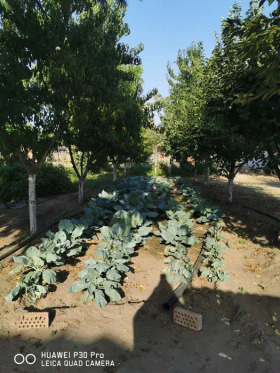 ������� ���� | Imot.bg � ����� ������ 4