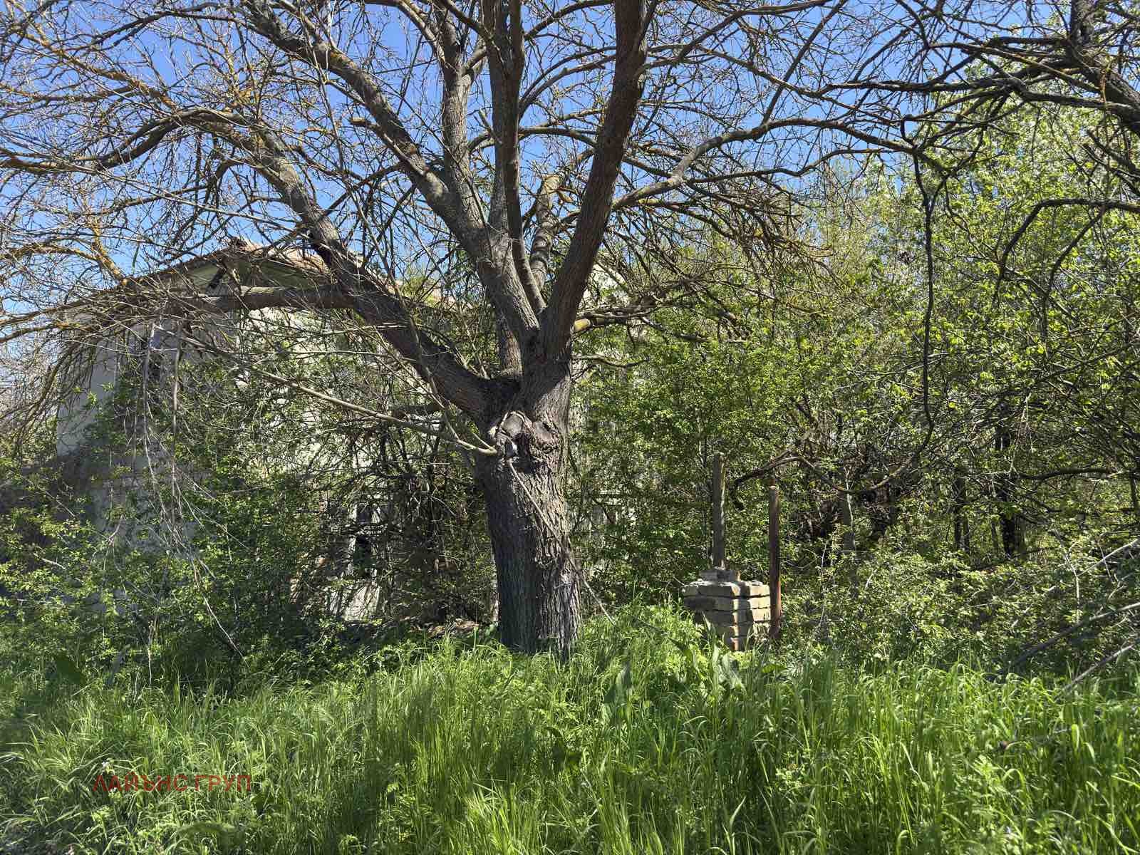 Продава КЪЩА, с. Просечен, област Варна, снимка 2 - Къщи - 54340662