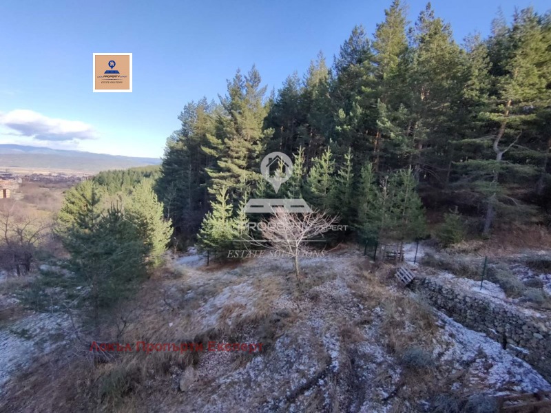 Til salgs  Studio region Blagoevgrad , Bansko , 43 kvm | 37632861 - bilde [9]