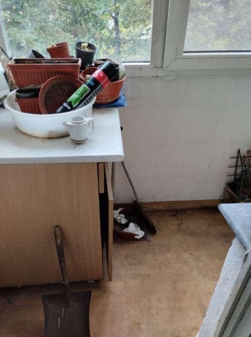 Na prodej  2 ložnice Sofia , Dianabad , 87 m2 | 52369877 - obraz [6]