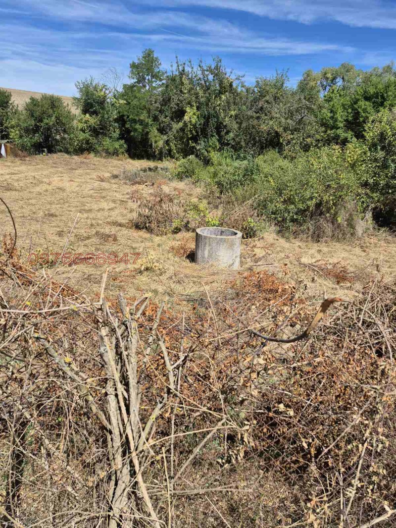 Продава ПАРЦЕЛ, с. Ноевци, област Перник