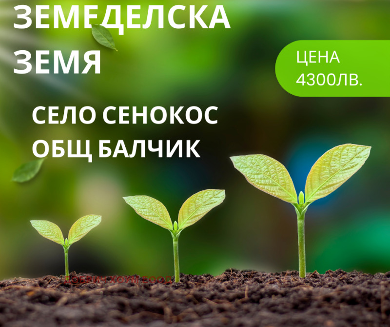 Продава  Земеделска земя област Добрич , с. Сенокос , 12 дка | 33195961