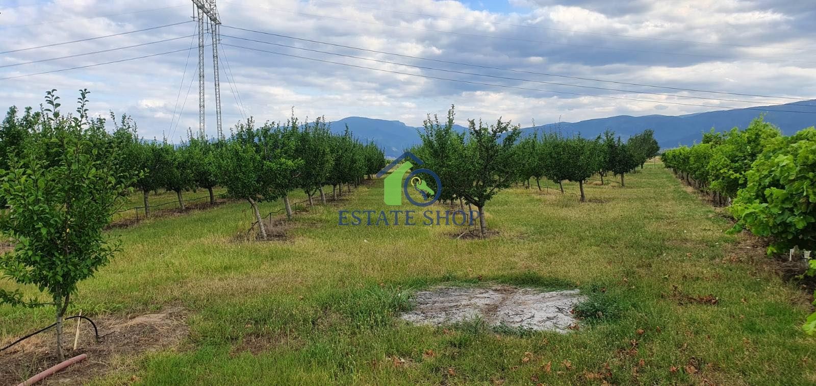 ������� ���������� ���� | Imot.bg � ����������� 10