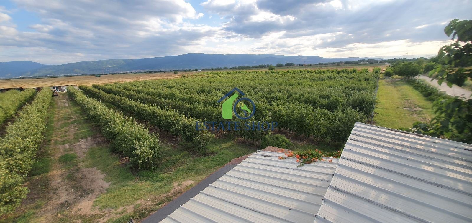 ������� ���������� ���� | Imot.bg � ����������� 7