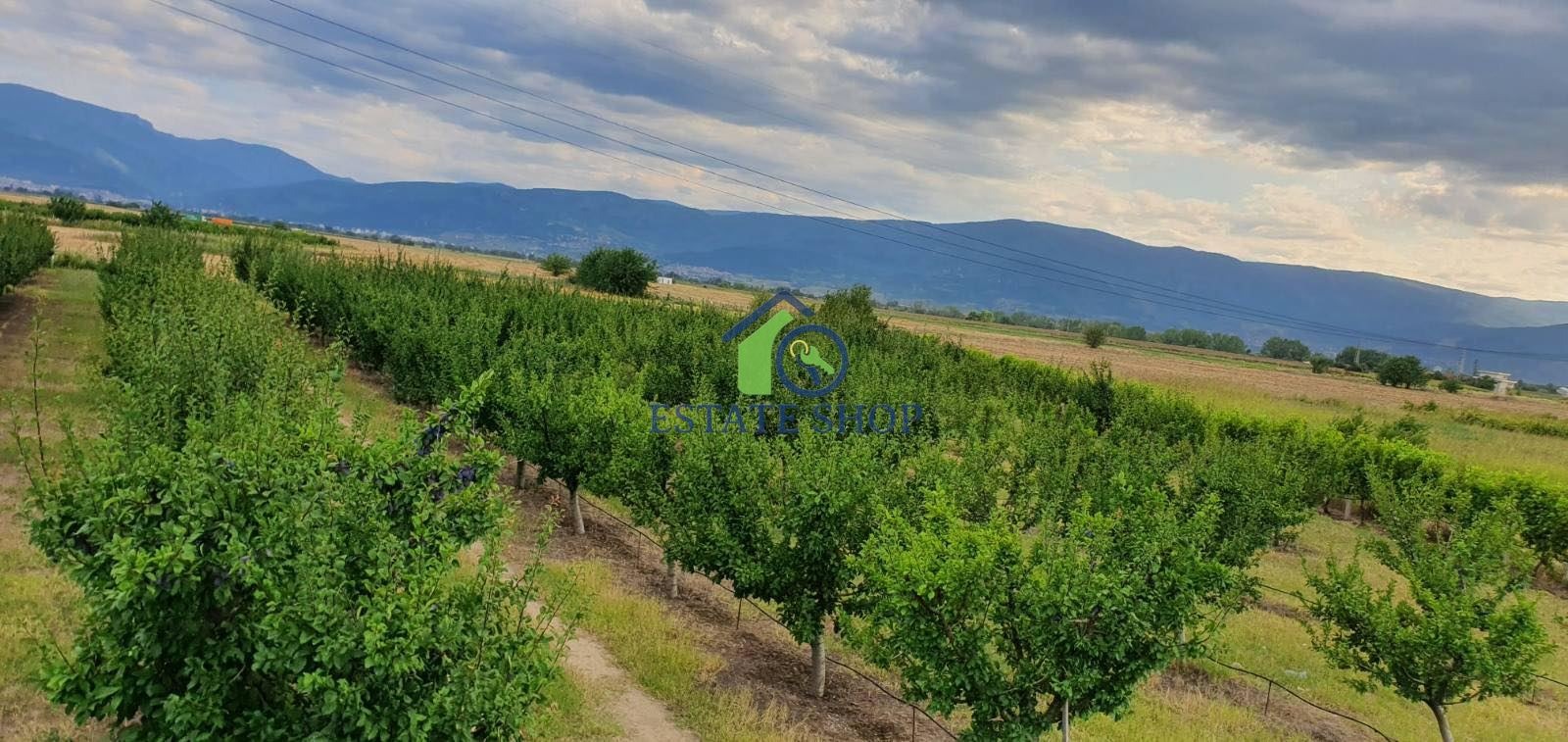 ������� ���������� ���� | Imot.bg � ����������� 12