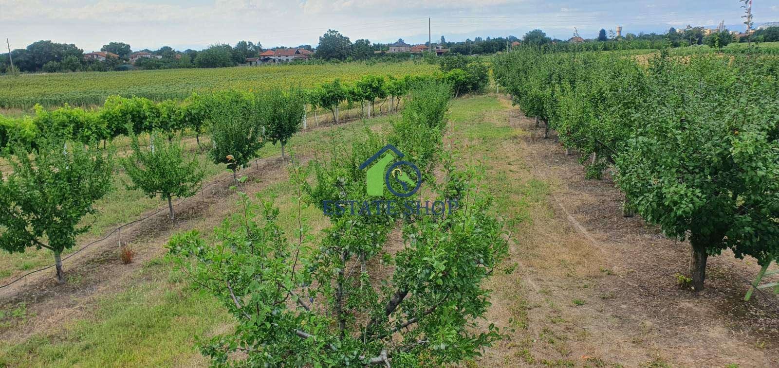 ������� ���������� ���� | Imot.bg � ����������� 5