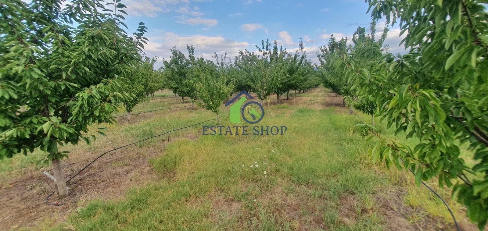 ������� ���������� ���� | Imot.bg � ����������� 15