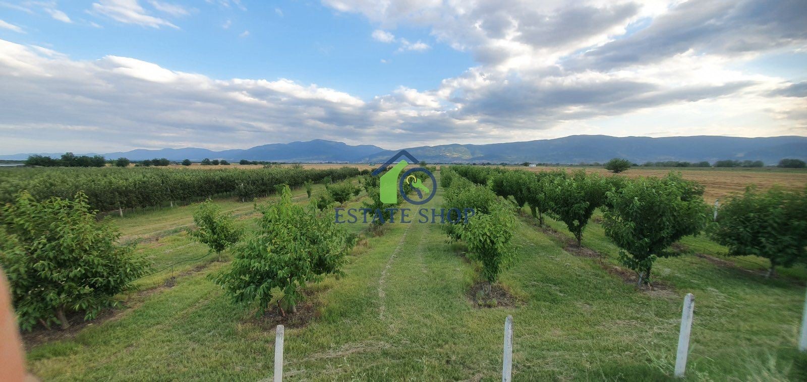 ������� ���������� ���� | Imot.bg � ����������� 6