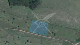 ����� ������� ������,��. �����, ������ �����