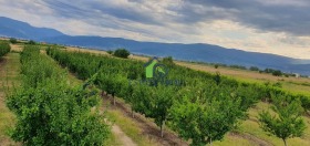 ������� ���������� ���� | Imot.bg � ����� ������ 12