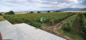 ������� ���������� ���� | Imot.bg � ����� ������ 17