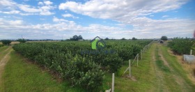 ������� ���������� ���� | Imot.bg � ����� ������ 8