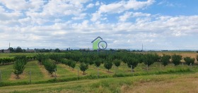 ����� ������� ���������� ����,�. ��������, ������ �������