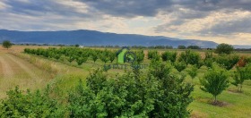 ������� ���������� ���� | Imot.bg � ����� ������ 14