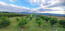 ������� ���������� ���� | Imot.bg � ����� ������ 9